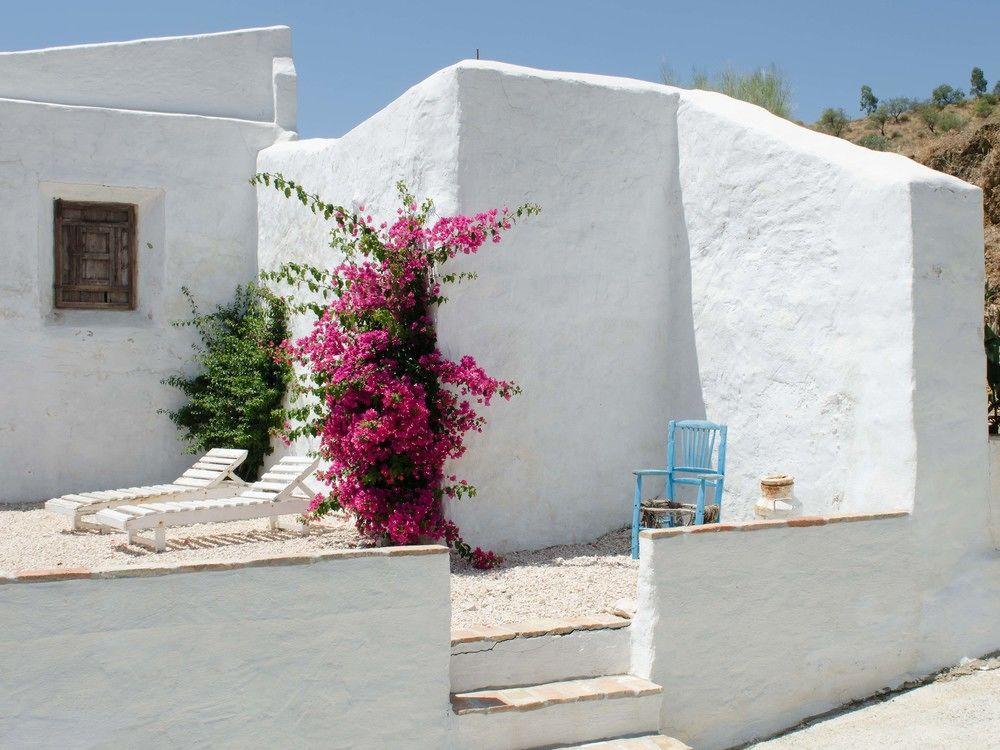 Olías Cortijo Juan Salvador 게스트하우스 외부 사진