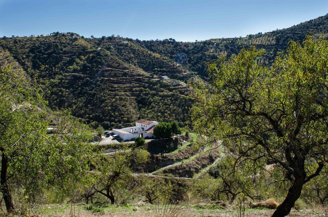 Olías Cortijo Juan Salvador 게스트하우스 외부 사진