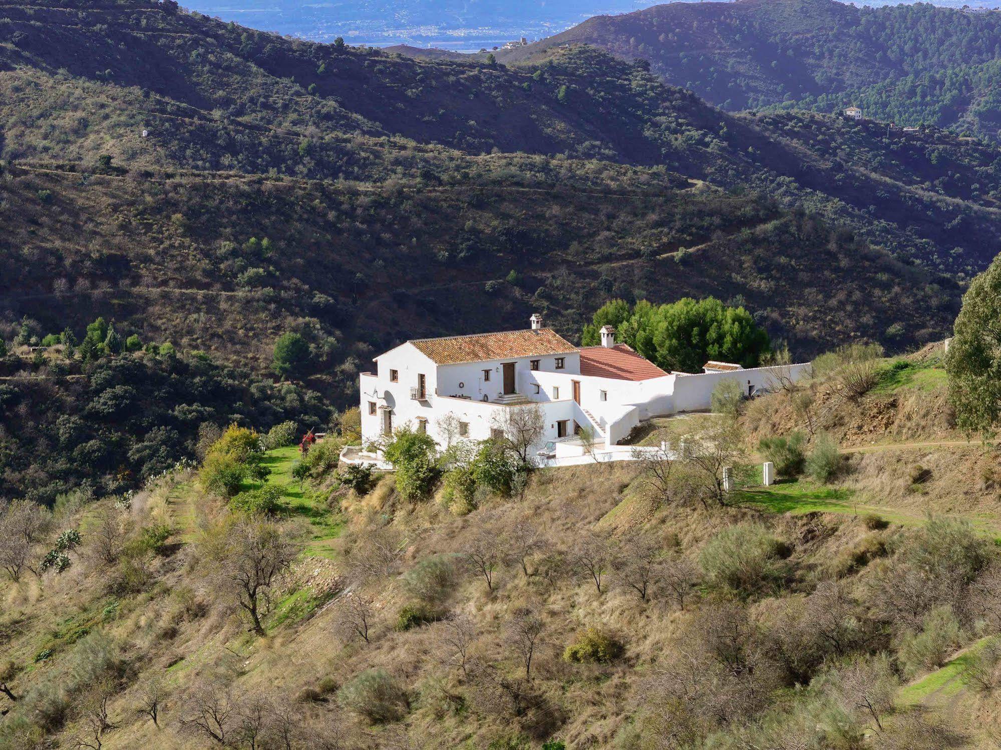 Olías Cortijo Juan Salvador 게스트하우스 외부 사진